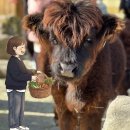 더스윙블랙 포천점 | 포천 아이와 가볼만한 곳 | 앵무새가든부터 블랙노즈까지, 포천애니멀가든 솔직 후기