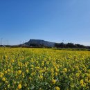2026.4.20(월) 서경방출석글 (이목 상용) 이미지