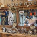 가을 숲으로 가자 이미지