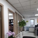 세무포털 신청과 다반 세무회계 사무소 방문후기
