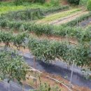 산들양푼갈비 이미지