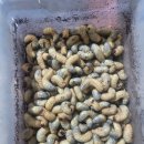 장수유기질 이미지