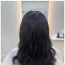 봄 헤어살롱