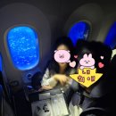 수피케이크 | 싱가포르항공 허니문 케이크, 생일 케이크 신청방법 후기 팁 singaporeair