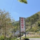 산돼지마을민박 네이버블로그