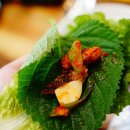 바다산꼼장어