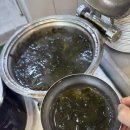 거제시동부면학동보건진료소 | 거제 횟집 추천 티파니횟집 거제도 물회 맛집 티파니횟집 스페셜 활어회 코스 후기