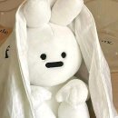헤라룸