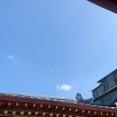 더마틴
