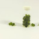 생생약국 이미지