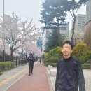 토요 루틴 ♡동탄복합문화센터 도서관&amp; 고래한입 피자