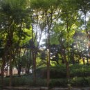 성내4교 아래 이미지