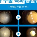 대한동물병원 이미지