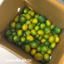 개버랜드 | 얼렁뚱땅 10월 일상 총망라 | 초반의 나날들