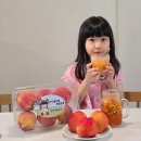 영천다원 이미지