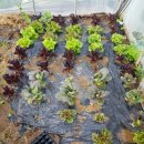 현재농장 이미지