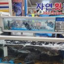회원횟집