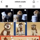 므므스튜디오
