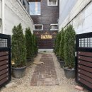 커피앤 | 대구 동성로 카페 새들스커피앤바 목련 벚꽃 실시간 후기