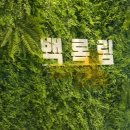 백록림 이미지