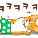 컴포즈루원시티DS점