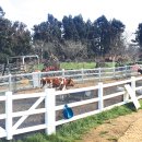 신종목장 이미지