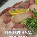서강프라자 | 내돈내산 시흥 대야동 대방어 맛집 <팔딱광어> 횟집 추천