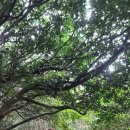 오동도해물탕 이미지