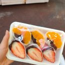 신동아카써비스 | 겨울 제주여행 (feat.디아넥스 온천)