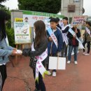 석송초등학교 이미지