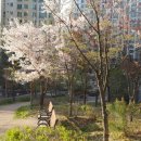 마포OK공인중개사사무소 이미지