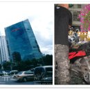 서울대포차