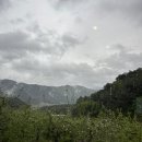 낙동강원시비경탐방로 | 펜션 브런치 카페 (대정연가, 범바위 전망대, 예던길 선유교, 낙동강시발점 테마공원, 35번 국도 드라이브)