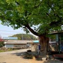 하석파경로당 이미지