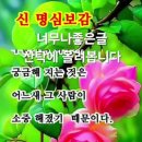 명심보감 Daum카페