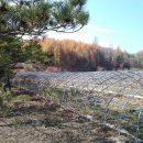 수목공인중개사사무소 이미지