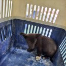 십이리길 이미지