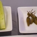 바다뚜껑여는집 이미지