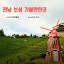 보성군 청소년수련원 | 2026 보성다향대축제 기본정보 주차 셔틀버스 체험 전남 보성 가볼만한곳