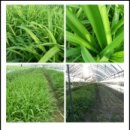 월암농장 이미지