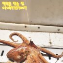 인천 락 실내바다낚시터 이미지