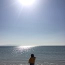 완도네시아 | [전남 완도]완도항 앞 재미있는 게스트하우스 겸 카페 &lt;완도네시아&gt; 숙박 후기