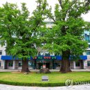 한국목재사업협동조합 이미지