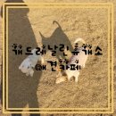 개드레날린휴개소 이미지