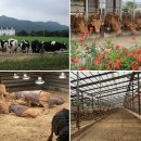 비례농장 이미지