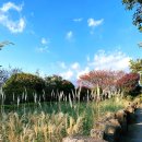 2박 3일 제주도 가을 여행 ☆ 멋진 자연과 함께하는 숨도 귤림성 방문 후기