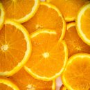 탕은이맛 이미지