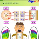 체온이 1도 높히면 면역력은 5배 증가한다 이미지