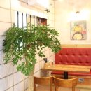 빨간치킨 이미지