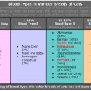힐스타동물병원 이미지
